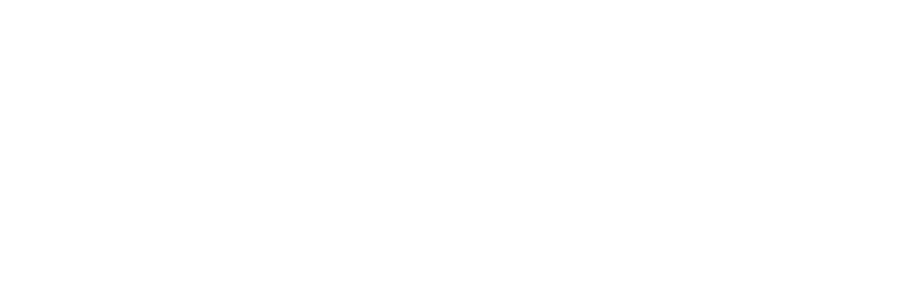 PRO-METAL Vajdić logo